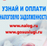 фото - Башмаковский Вестник