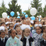 фото - Башмаковский Вестник