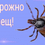 ДОБРО ПОЖАЛОВАТЬ НА САЙТ ГБУЗ «БАШМАКОВСКАЯ РАЙОННАЯ БОЛЬНИЦА»! - ГБУЗ Башмаковская ЦРБ