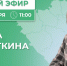 Прямая линия с главой района - Башмаковский район