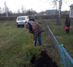 В рамках международной акции «Сад памяти» жители Башмаковского района продолжают присоединяться к традиции посадки деревьев