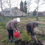 В рамках международной акции «Сад памяти» жители Башмаковского района продолжают присоединяться к традиции посадки деревьев