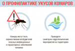 Памятка для населения по профилактике инфекций, передающихся комарами