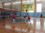 Команда Башмаковского района приняла участие в предварительных соревнованиях областных летних сельских спортивных игр