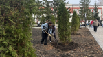 Сотрудники учреждений Башмаковского района присоединились к акции «Сохраним лес»