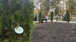 Сотрудники учреждений Башмаковского района присоединились к акции «Сохраним лес»